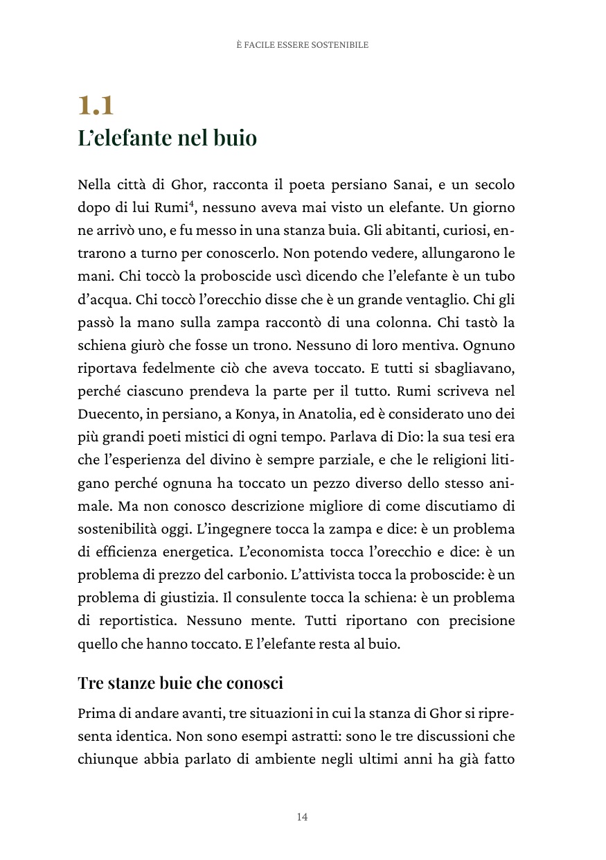 La prima pagina del capitolo 1.1, L'elefante nel buio